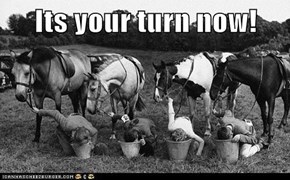 Its your turn now!