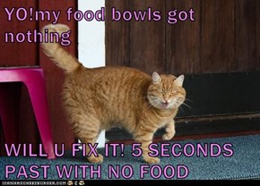 YO!my food bowls got nothing  WILL U FIX IT! 5 SECONDS PAST WITH NO FOOD
