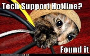 Helpful Kitty is Helpful
