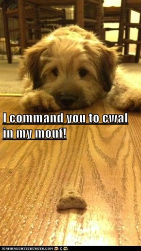 I command you to cwal in my mouf!