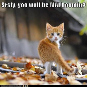Srsly, yoo wull be MAI hoomin?