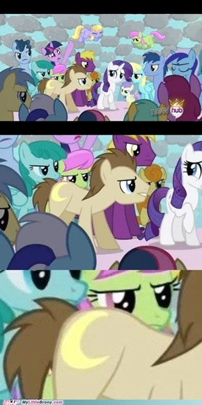 What is Doctor Whooves' new destiny?