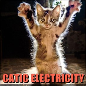 CATIC ELECTRICITY