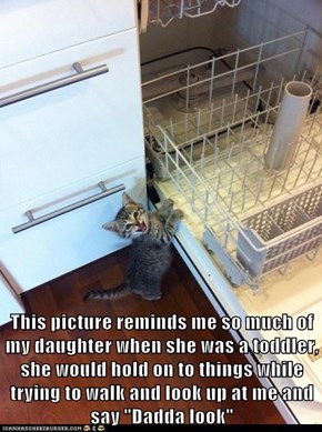 Kittens and Kids: Not So Different