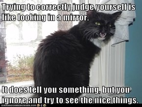 Trying to correctly judge yourself is like looking in a mirror.  It does tell you something, but you ignore and try to see the nice things.