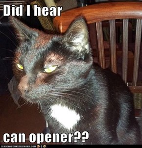 Did I hear  can opener??