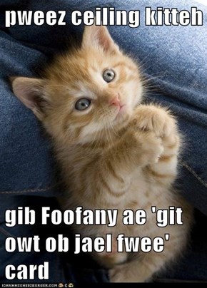 pweez ceiling kitteh  gib Foofany ae 'git owt ob jael fwee' card