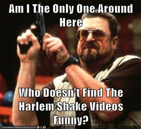 Am I The Only One Around Here  Who Doesn't Find The Harlem Shake Videos Funny?
