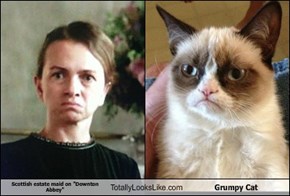 Scottish estate maid on "Downton Abbey" Totally Looks Like Grumpy Cat