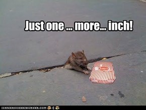 Just one ... more... inch!