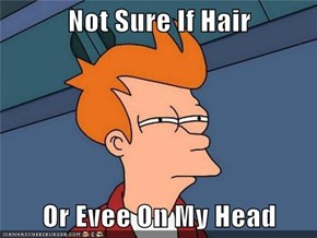Not Sure If Hair  Or Evee On My Head