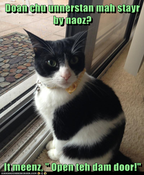 Doan chu unnerstan mah stayr by naoz?  It meenz, " Open teh dam door!"
