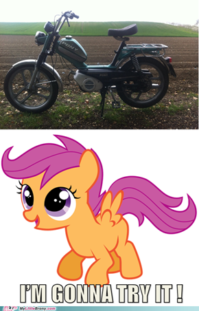 Scootaloo's new moped