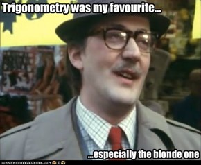 Trigonometry was my favourite...