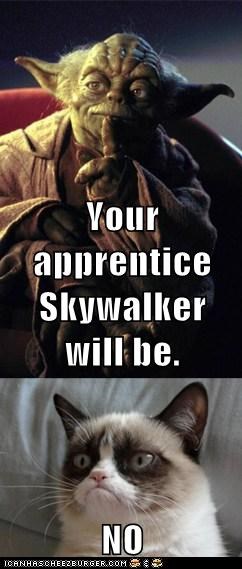 Your apprentice Skywalker will be. NO