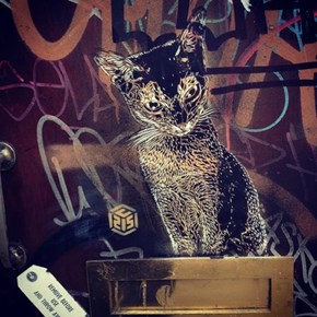 Kitty Street Art WIN