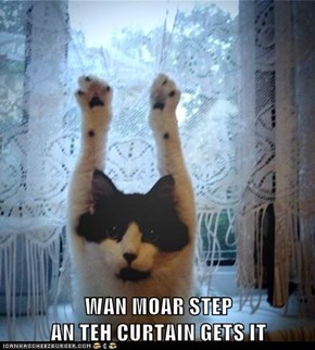 WAN MOAR STEP                                                      AN TEH CURTAIN GETS IT
