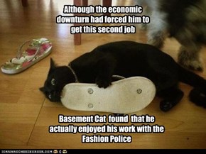 Basement Cat  found  that he actually enjoyed his work with the Fashion Police