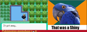 I Always Think This...