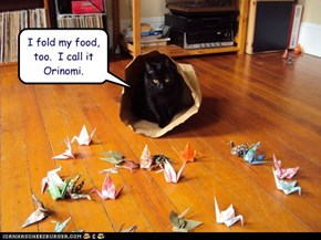 I fold my food, too.  I call it Orinomi.