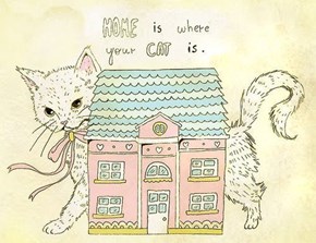 A Life Philosophy for Cat People