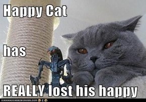 Happy Cat has REALLY lost his happy
