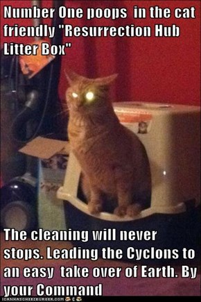 Number One poops  in the cat friendly "Resurrection Hub  Litter Box"   The cleaning will never stops. Leading the Cyclons to an easy  take over of Earth. By your Command