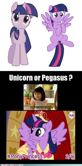 Alicorn Twilight: Deal With It