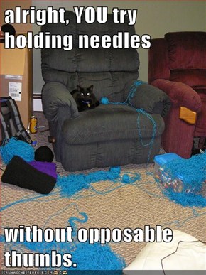 alright, YOU try holding needles   without opposable thumbs.