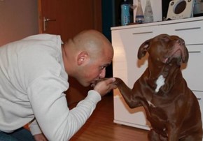 Do You Show Dogs the Respect They Deserve?