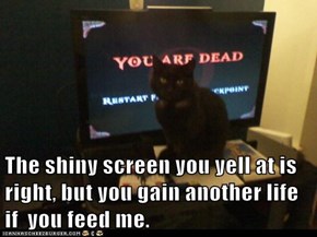 The shiny screen you yell at is right, but you gain another life if  you feed me.