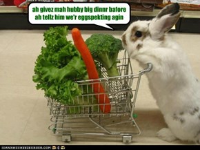 ah givez mah hubby big dinnr bafore ah tellz him we'r eggspekting agin