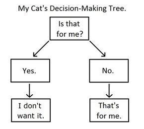 Making Choices is a Lot Easier When You're a Cat