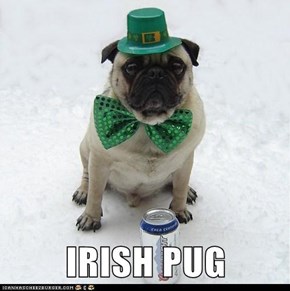 IRISH PUG