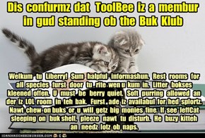 Offishul JeffCatsBookClub Memburship Kard for ToolBee