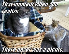 That moment when you realize  There never was a picnic.