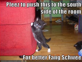 Pleez to push this to the south side of the room  For better Fang Schwee