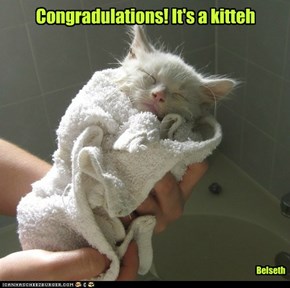 Congradulations! It's a kitteh