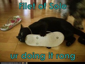 Filet of Sole  ur doing it rong