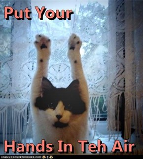 Put Your  Hands In Teh Air