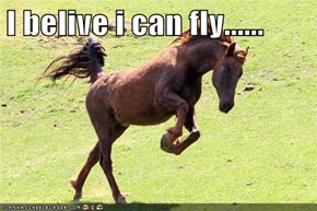 I belive i can fly......