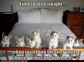 Time to lose weight...  ...when towelling off after your shower draws an audience.