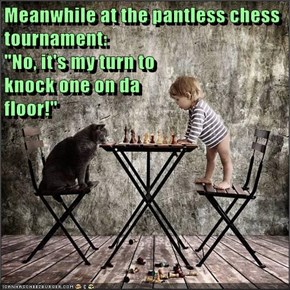 Meanwhile at the pantless chess tournament:                                                      "No, it's my turn to                                                       knock one on da                                                       floor!"