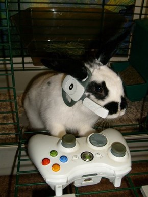 Bunday: Pwning Noobs 