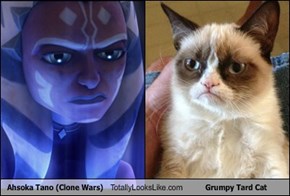 Ahsoka Tano (Clone Wars) Totally Looks Like Grumpy Tard Cat