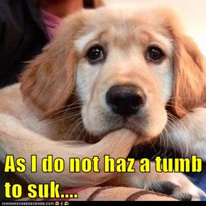 As I do not haz a tumb to suk....