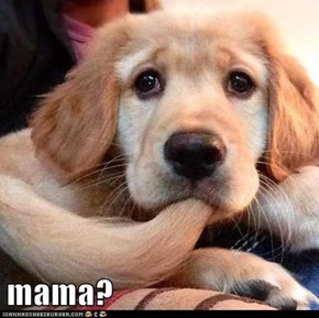 mama?
