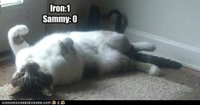 Cat vs Iron