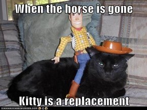 When the horse is gone  Kitty is a replacement