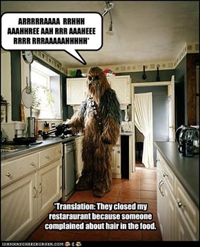 Fun (not really) Facts: Chewbacca was once a Celebrity Chef